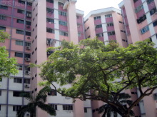 Blk 110 Bukit Purmei Road (Bukit Merah), HDB 3 Rooms #255212